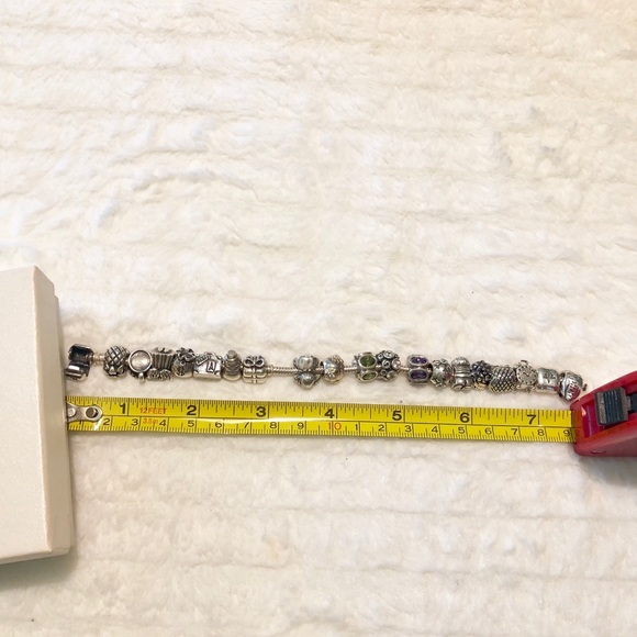 Pandora💙Bracelet with 19 Charms - Picture 7 of 8